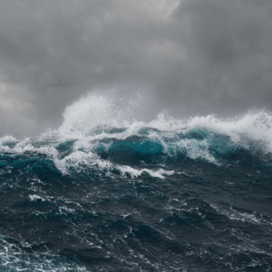 pure arctic oil sea goddess traject, voel je stralend, energiek en zelfverzekerd