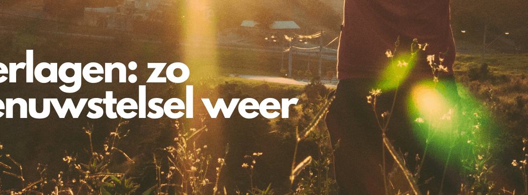 Bloeddruk verlagen: zo breng je je zenuwstelsel weer in balans