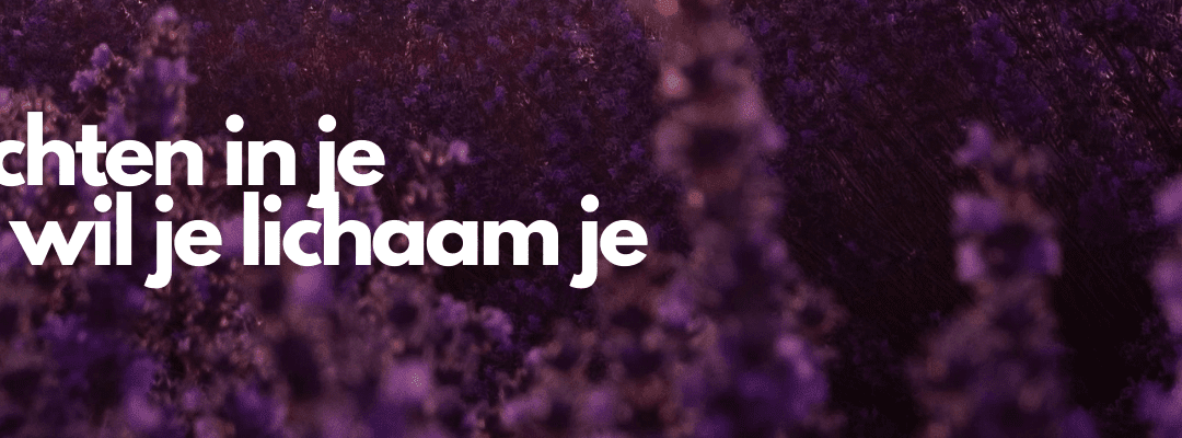 Burn-out klachten in je vakantie: dit wil je lichaam je vertellen