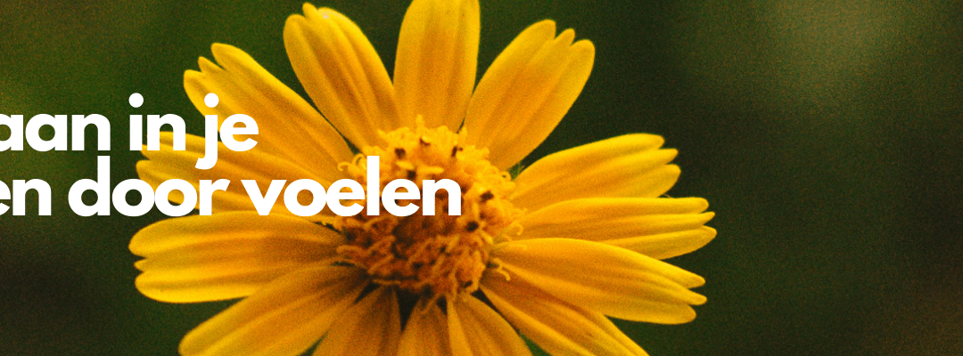 Emoties opslaan in je lichaam: helen door voelen