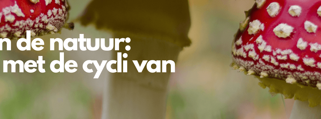 Leven volgens de seizoenen: hoe natuurlijke ritmes jouw energie herstellen