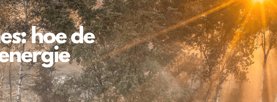 Seizoensritmes: Hoe de winter jouw lichaam en energie beïnvloedt