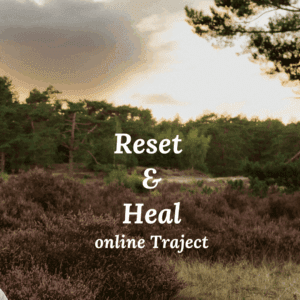 Reset & Heal traject (online)